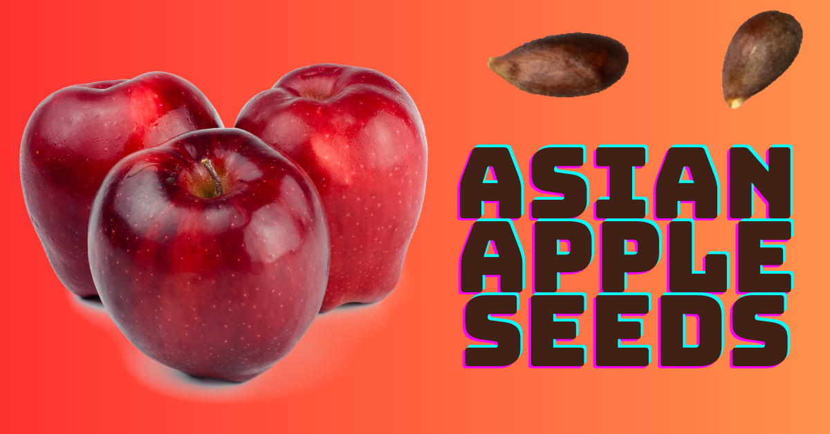 Asian apple seeds