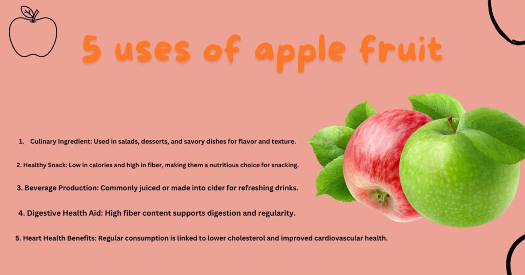 5 uses of apple fruit