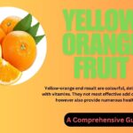 Yellow Orange Fruit