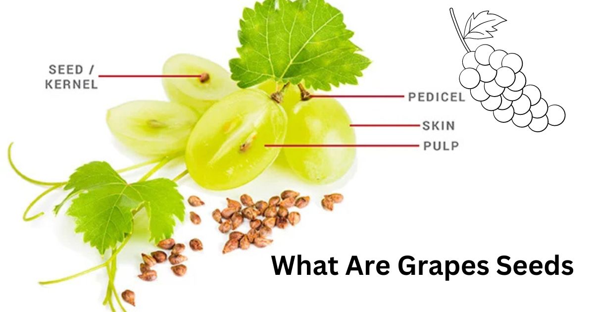 Grapes Seed