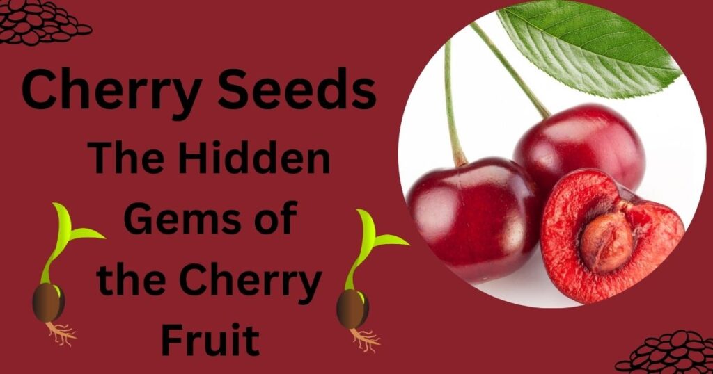 Cherry Seeds