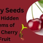 Cherry Seeds