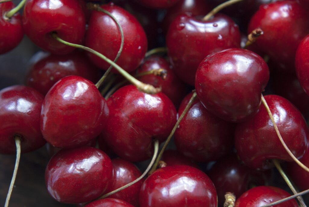 Types of Sour Dark Cherry