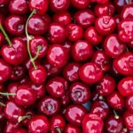 What Are the Different Types of Sour Cherries?