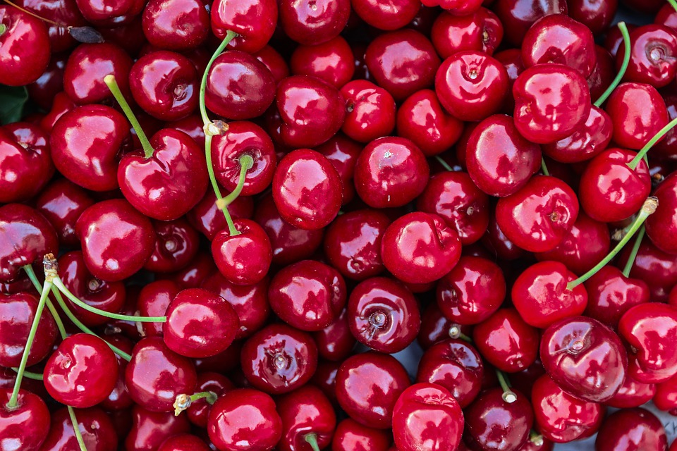 What Are the Different Types of Sour Cherries?