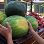 How Can You Tell if a Watermelon Is Ripe?