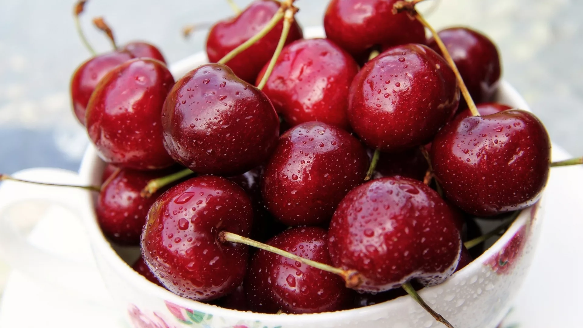 Types of Sour Dark Cherry