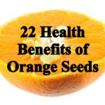 What Are the Top Health Benefits of Oranges?