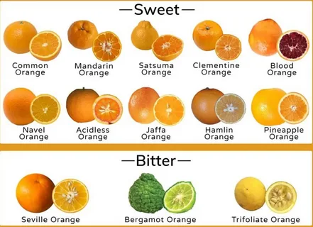 How Are Small Orange Fruits Different from Large Citrus Varieties?