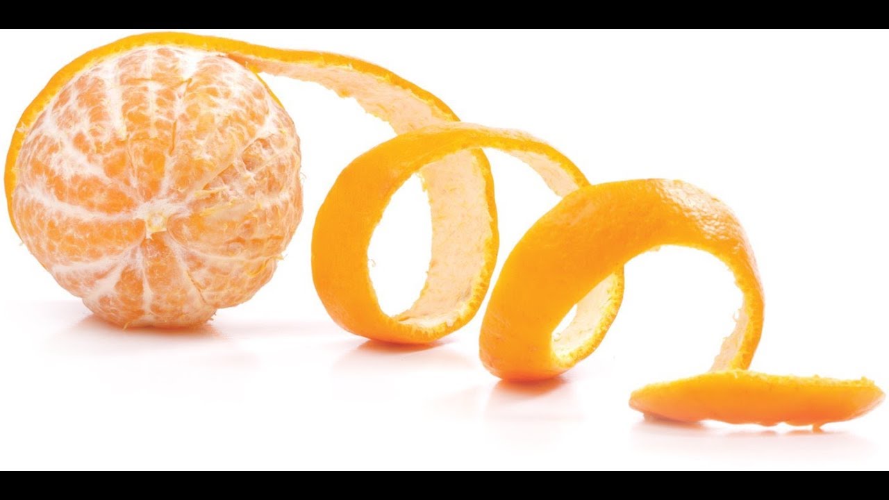 How Are Small Orange Fruits Different from Large Citrus Varieties?