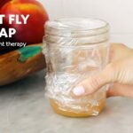 fruit fly trap apple cvs​