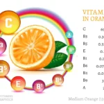 Which Vitamins Are in Oranges?