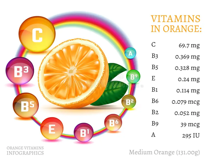 Which Vitamins Are in Oranges?